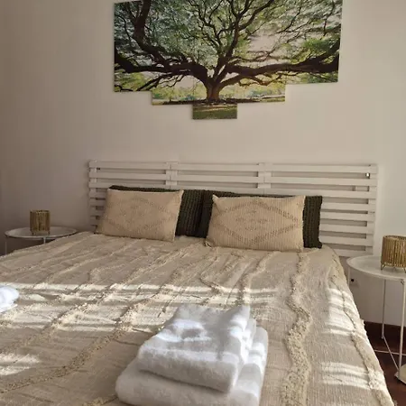 Lands Canico (Madeira)