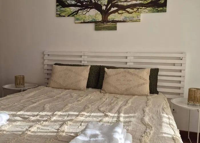 Lands Canico (Madeira)